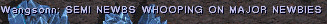 (Wang says it all)